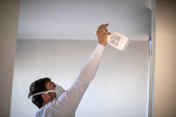 Best Mold Remediation  in Pevely, MO
