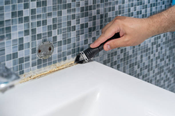 Best Toxic Mold Removal  in Pevely, MO